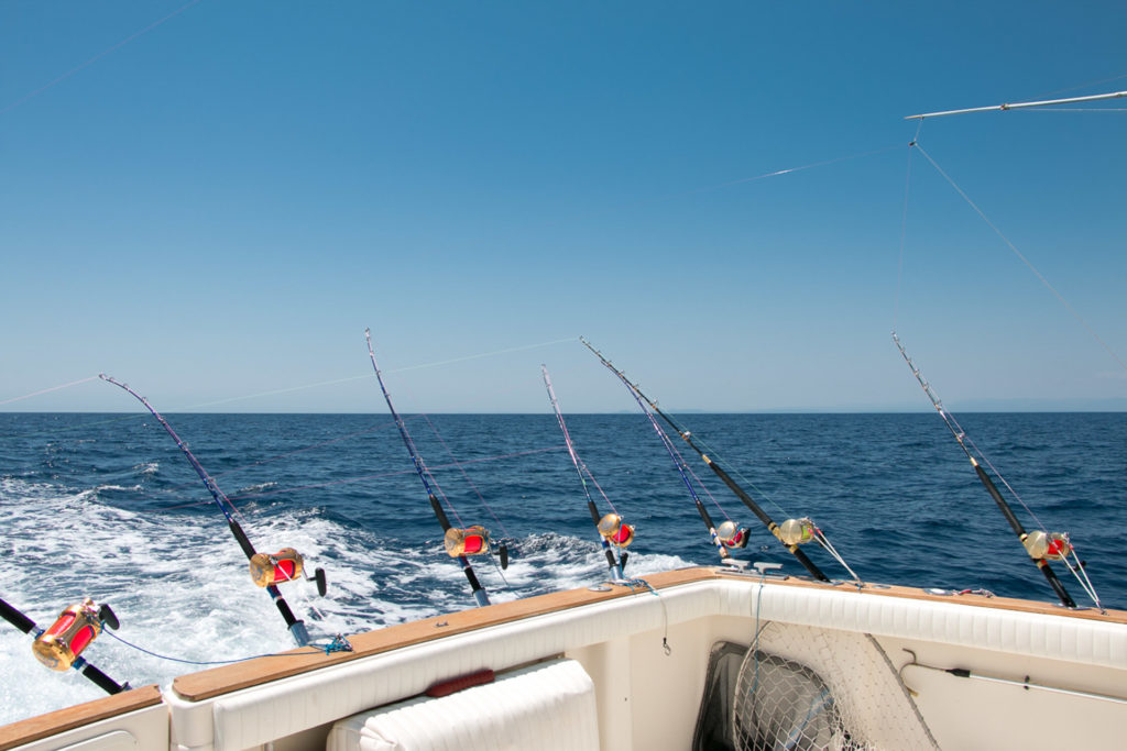 Fishing Cannes l Sport Fishing Monaco l Liven Up Monaco