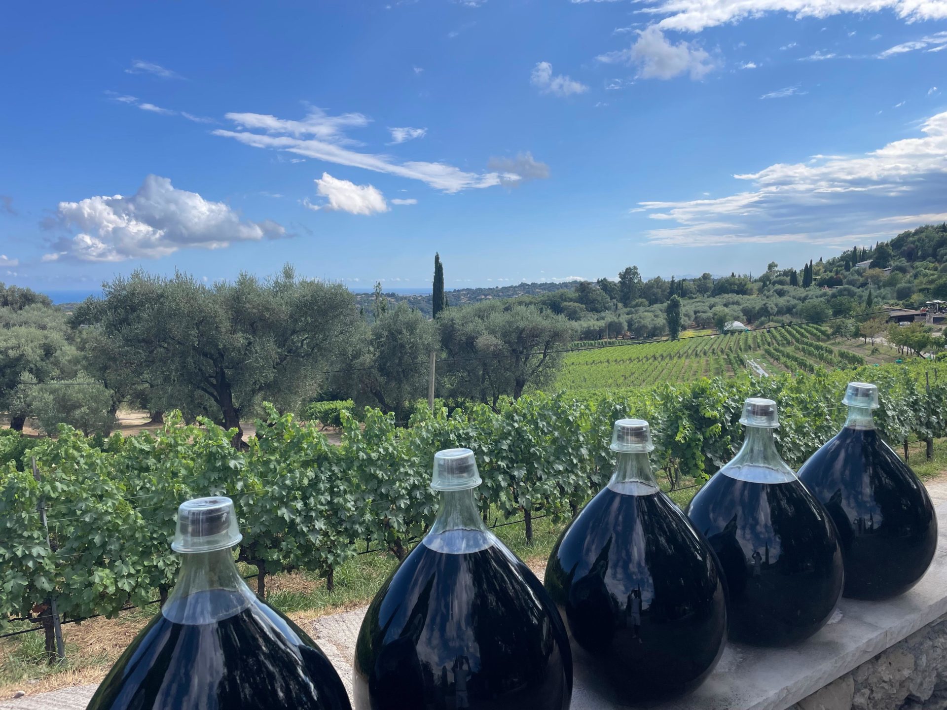 WhatsApp Image 2025-07-30 à 16.50.06_7e920d3f